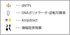 Ampdirect Technology